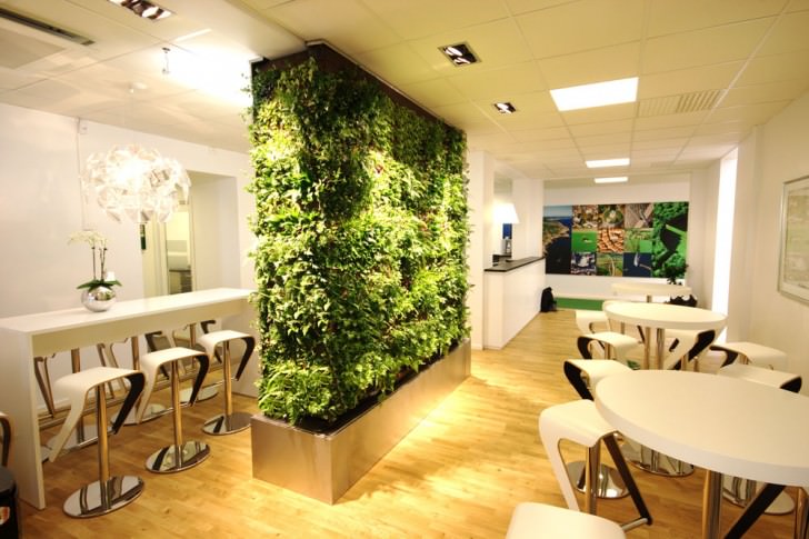 living-wall-room-divider