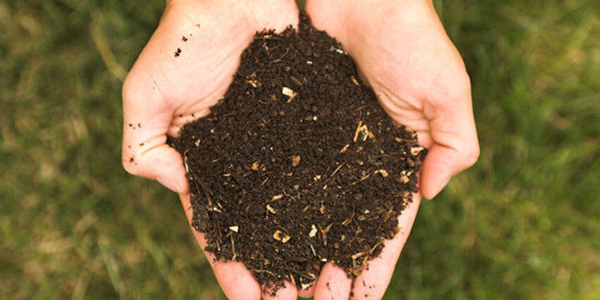 Adding compost is an easy way to fix your soil. 