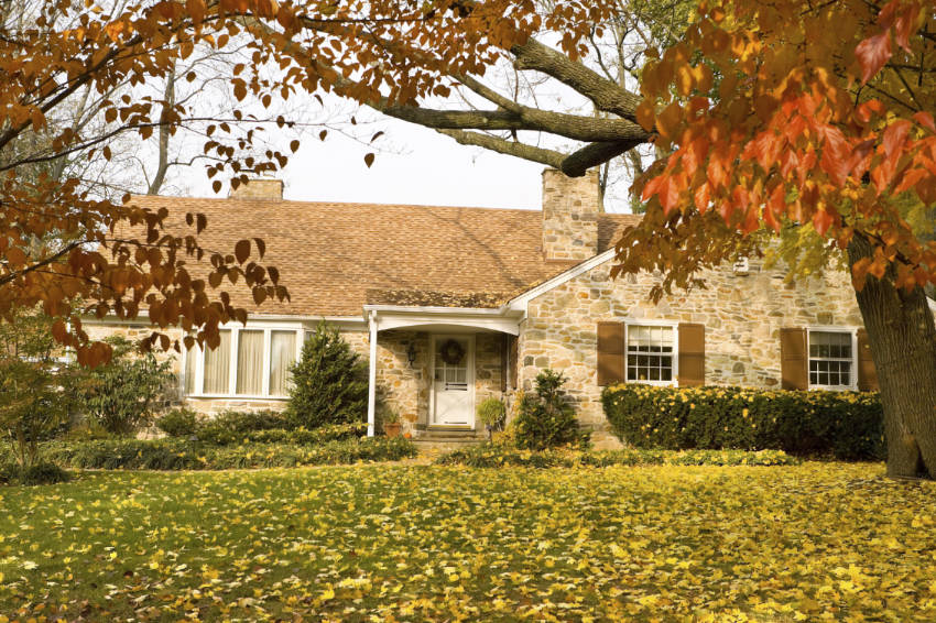 Everything you need to know about interior maintenance for the fall!