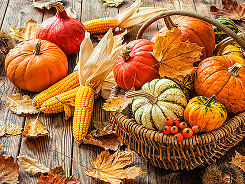 thanksgiving-decoration-ideas