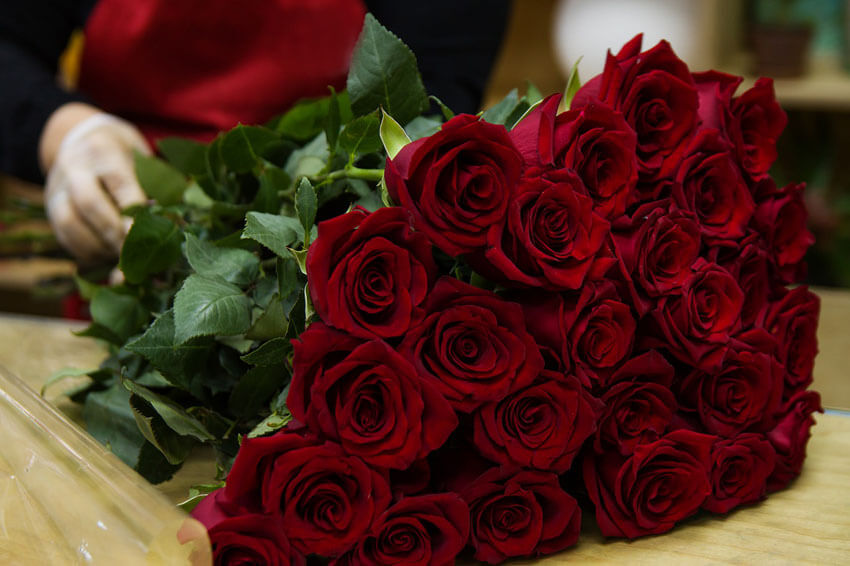 Red roses are the standard for Valentine's Day.